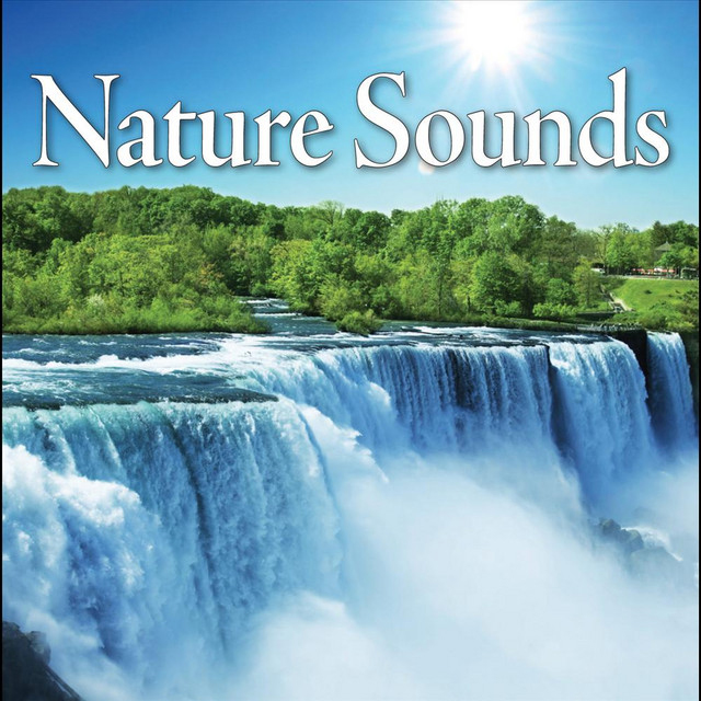 Read more about the article Nature Sounds