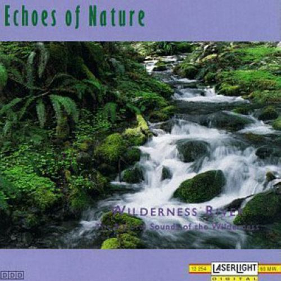 Read more about the article Forest Sounds