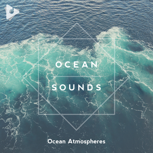 Read more about the article Ocean Sounds
